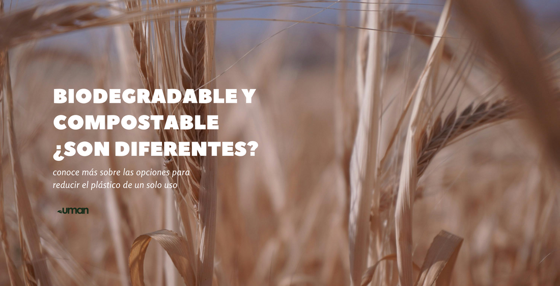 Diferencias entre compostable y biodegradable
