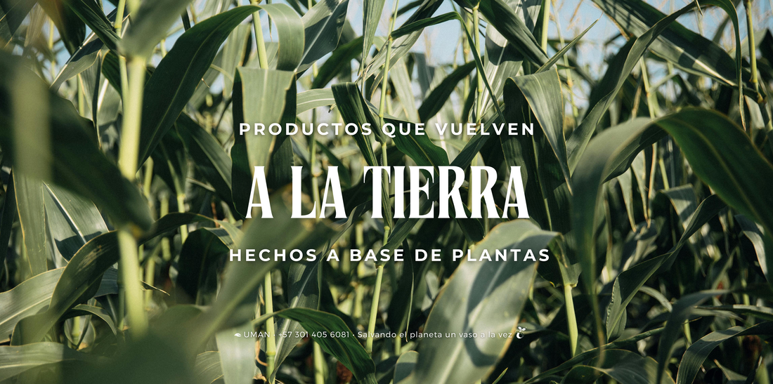 ¿Cómo nos convertimos en tierra?