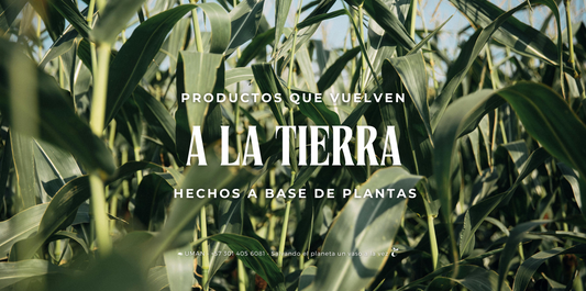 ¿Cómo nos convertimos en tierra?
