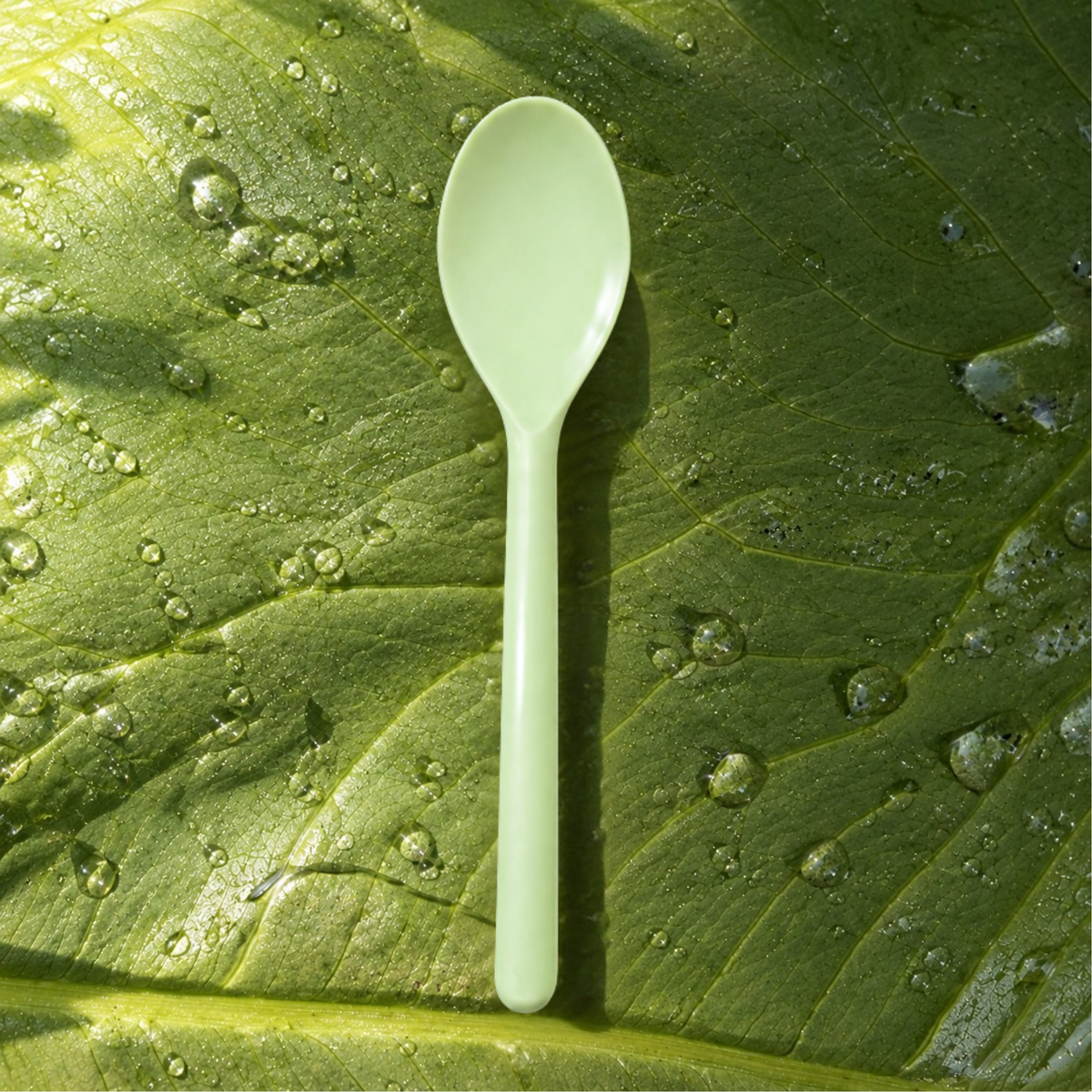 Cuchara PHA (50 uds)